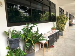 Blk 405 Admiralty Link (Sembawang), HDB 4 Rooms #606918161